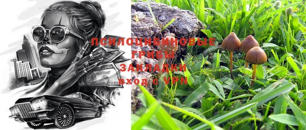 ГАЛЛЮЦИНОГЕННЫЕ ГРИБЫ Арсеньев