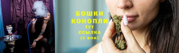 ГАЛЛЮЦИНОГЕННЫЕ ГРИБЫ Арсеньев